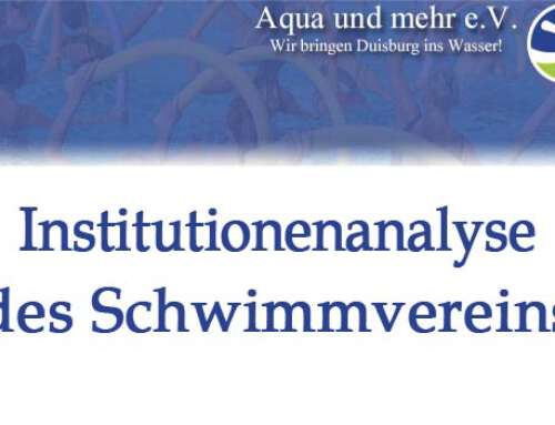 Institutionenanalyse des Schwimmvereins